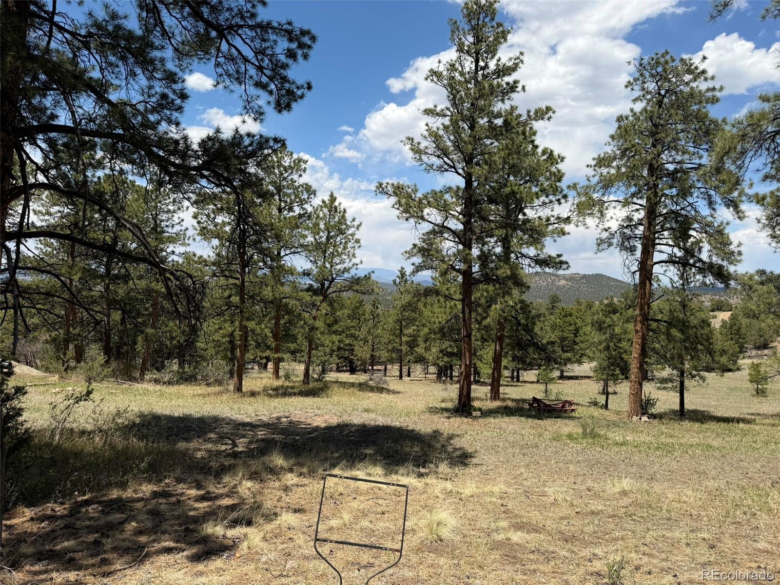 477 Bear Peak Road Westcliffe, CO 81252 - Photo 29 of 39