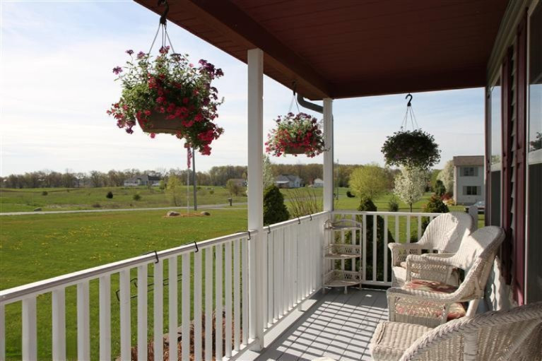 14166 Elm Row Road Albion, MI 49224 - Photo 4 of 26 Porch View of Yard