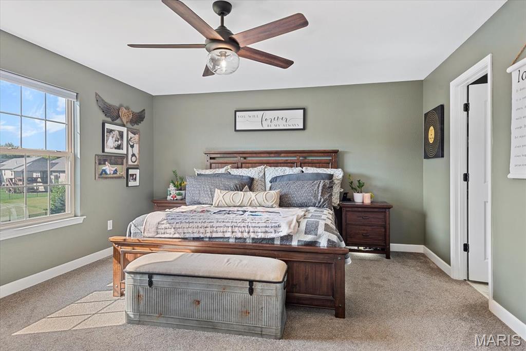 8014 Charleston Troy, IL 62294 - Photo 16 of 52