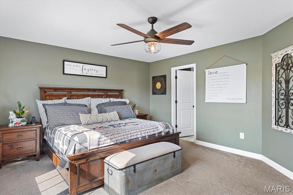 8014 Charleston Troy, IL 62294 - Photo 17 of 52