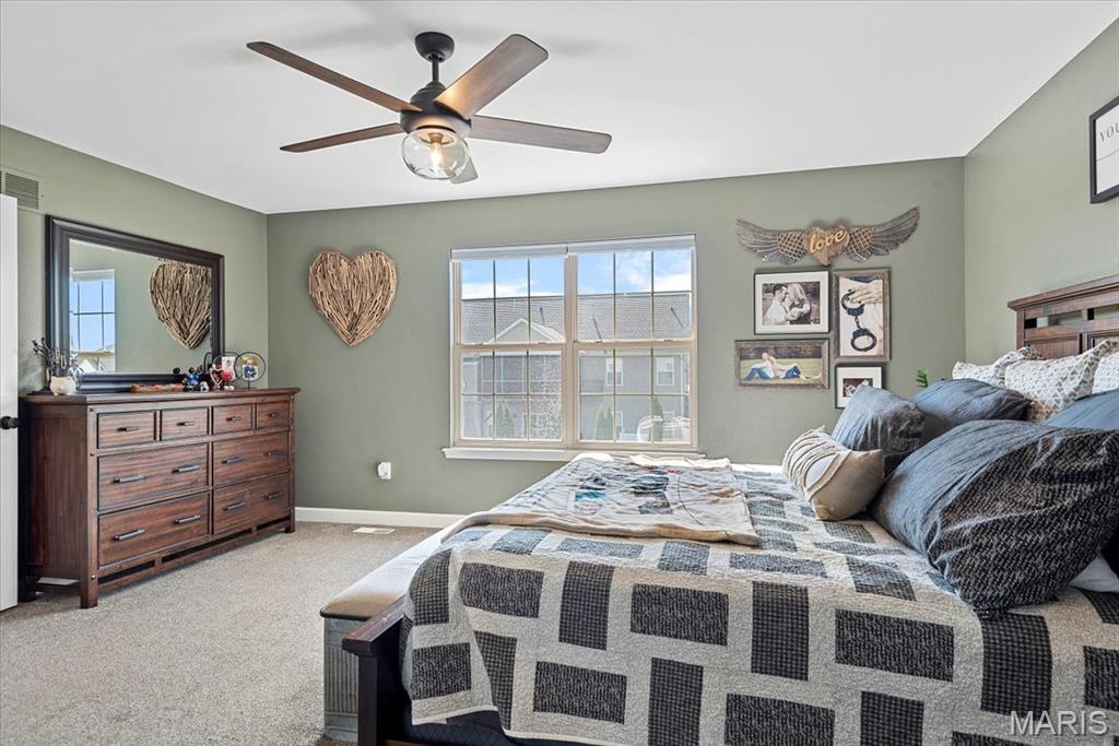 8014 Charleston Troy, IL 62294 - Photo 19 of 52