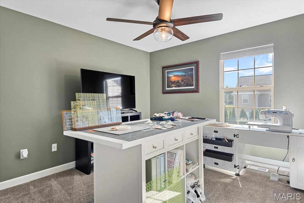 8014 Charleston Troy, IL 62294 - Photo 25 of 52