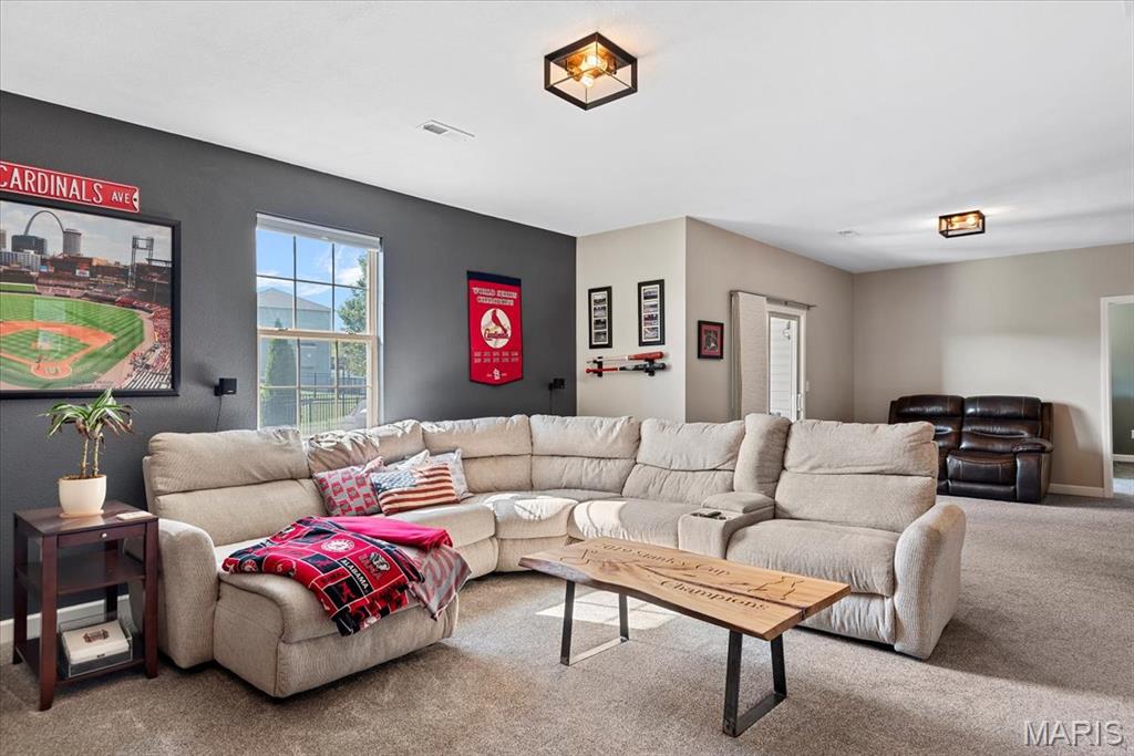 8014 Charleston Troy, IL 62294 - Photo 30 of 52