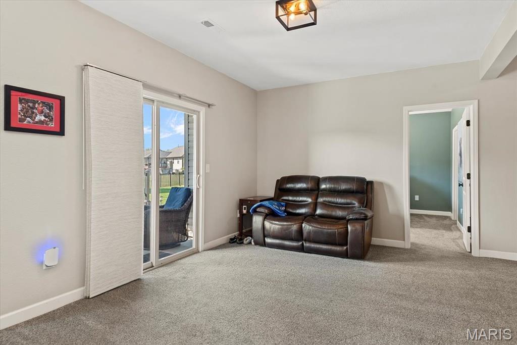 8014 Charleston Troy, IL 62294 - Photo 33 of 52