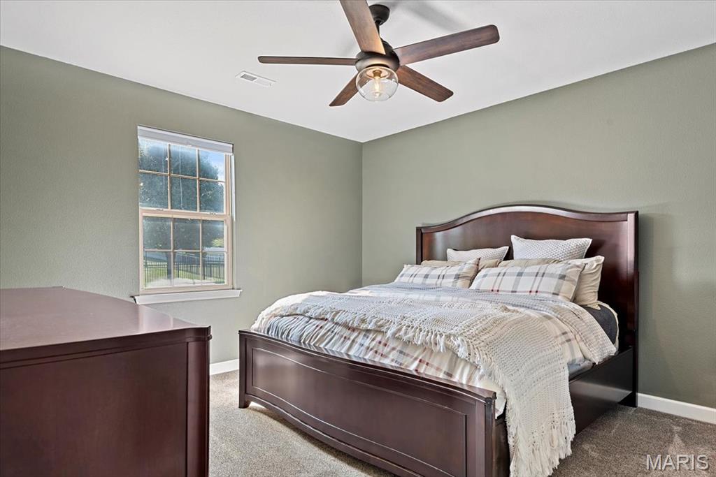 8014 Charleston Troy, IL 62294 - Photo 35 of 52