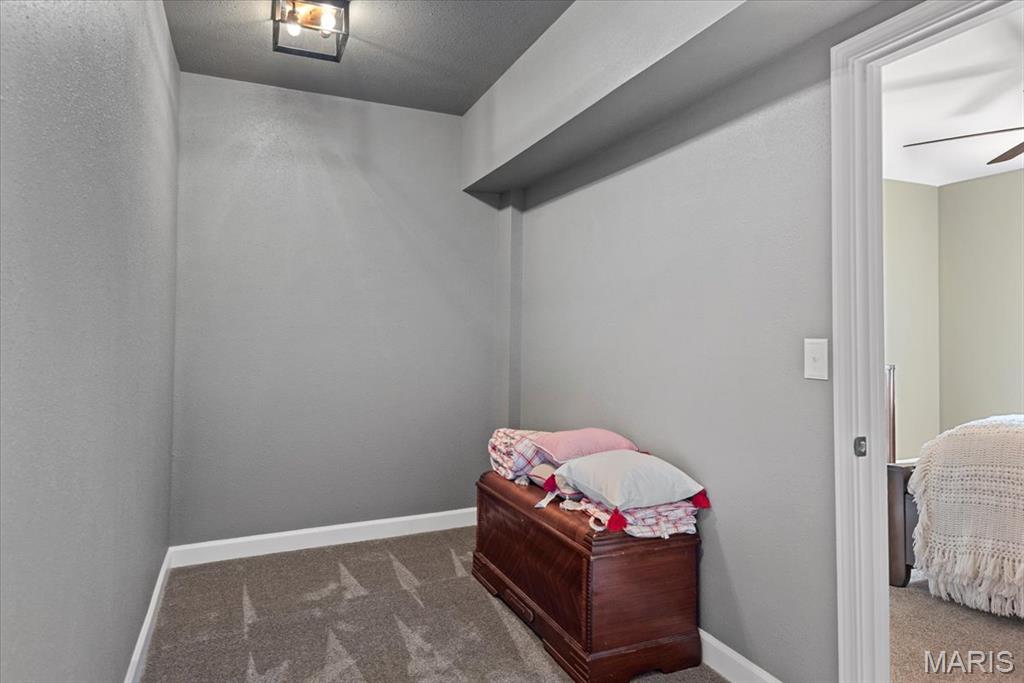 8014 Charleston Troy, IL 62294 - Photo 37 of 52