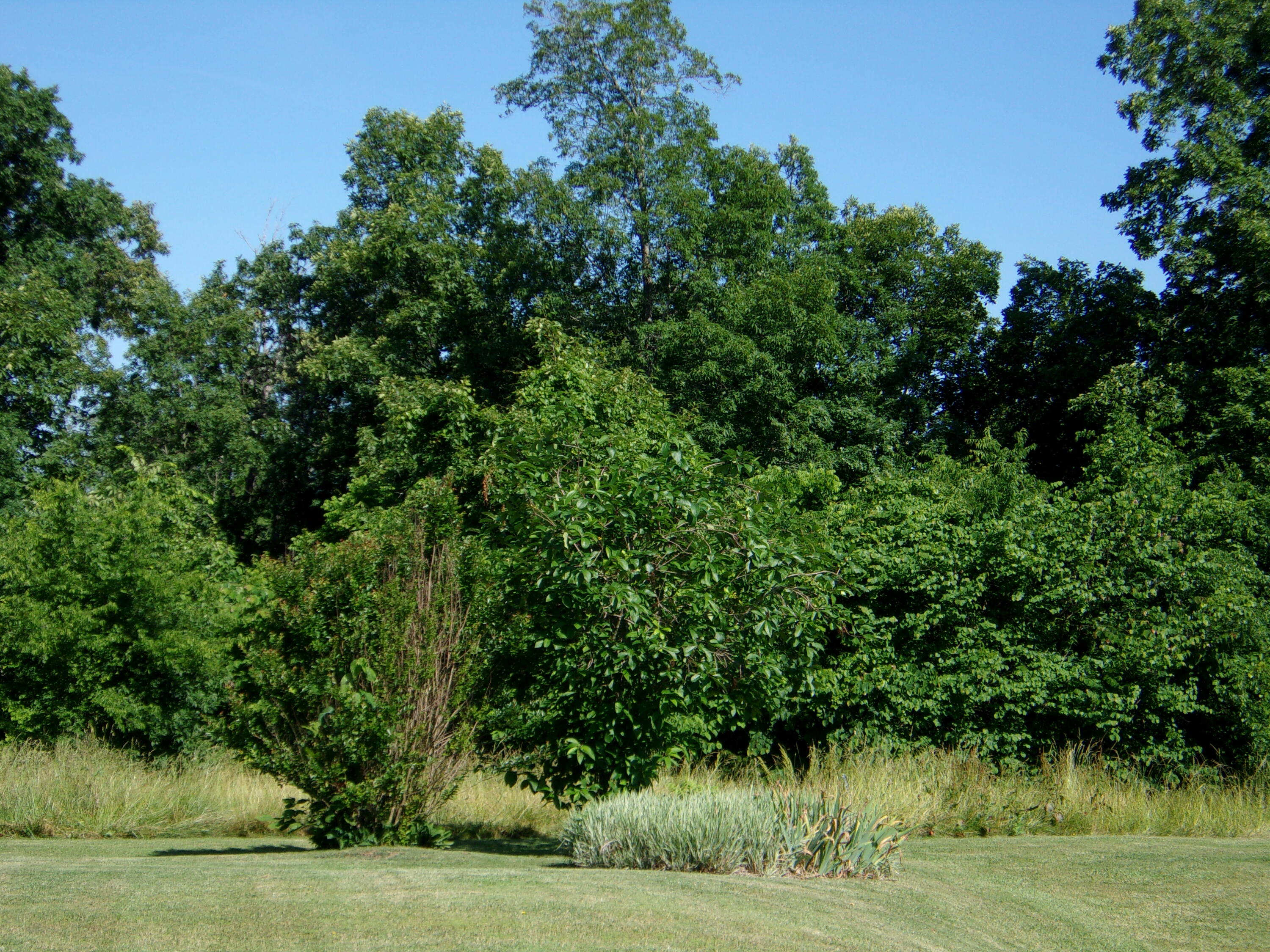 445 Urbana Road Limestone, TN 37681 - Photo 11 of 43 100_1200