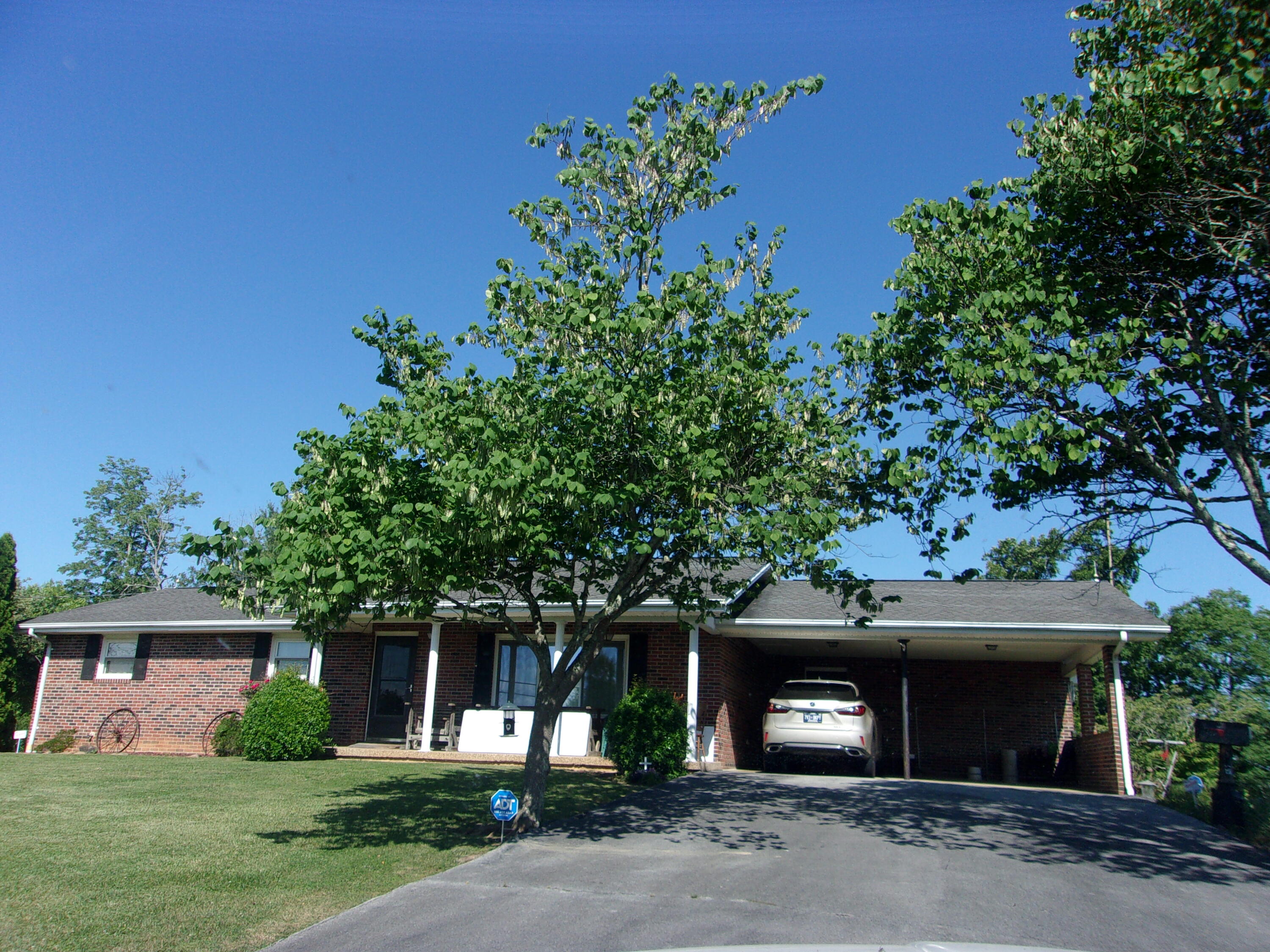 445 Urbana Road Limestone, TN 37681 - Photo 3 of 43 100_1188