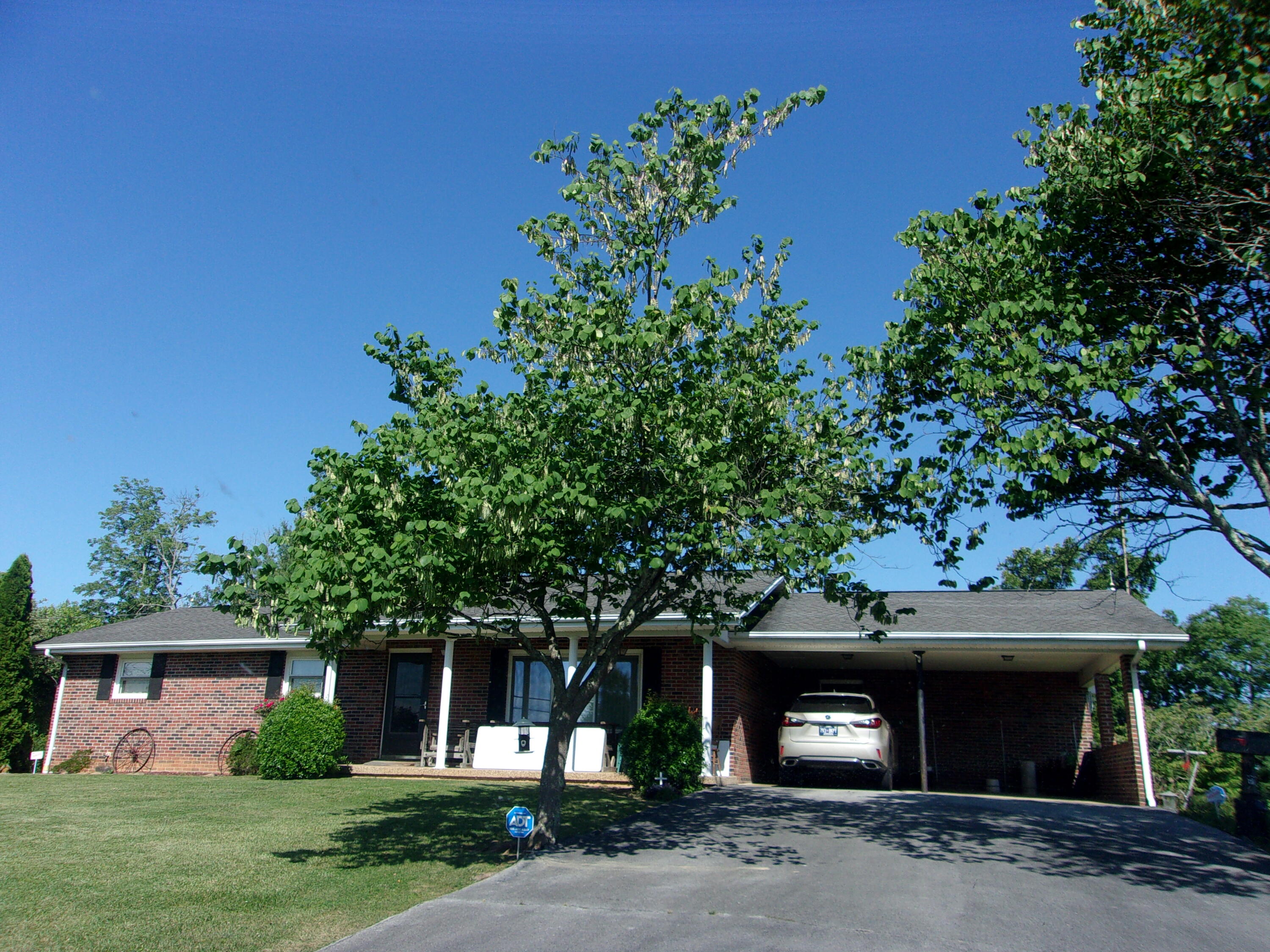 445 Urbana Road Limestone, TN 37681 - Photo 43 of 43 100_1187