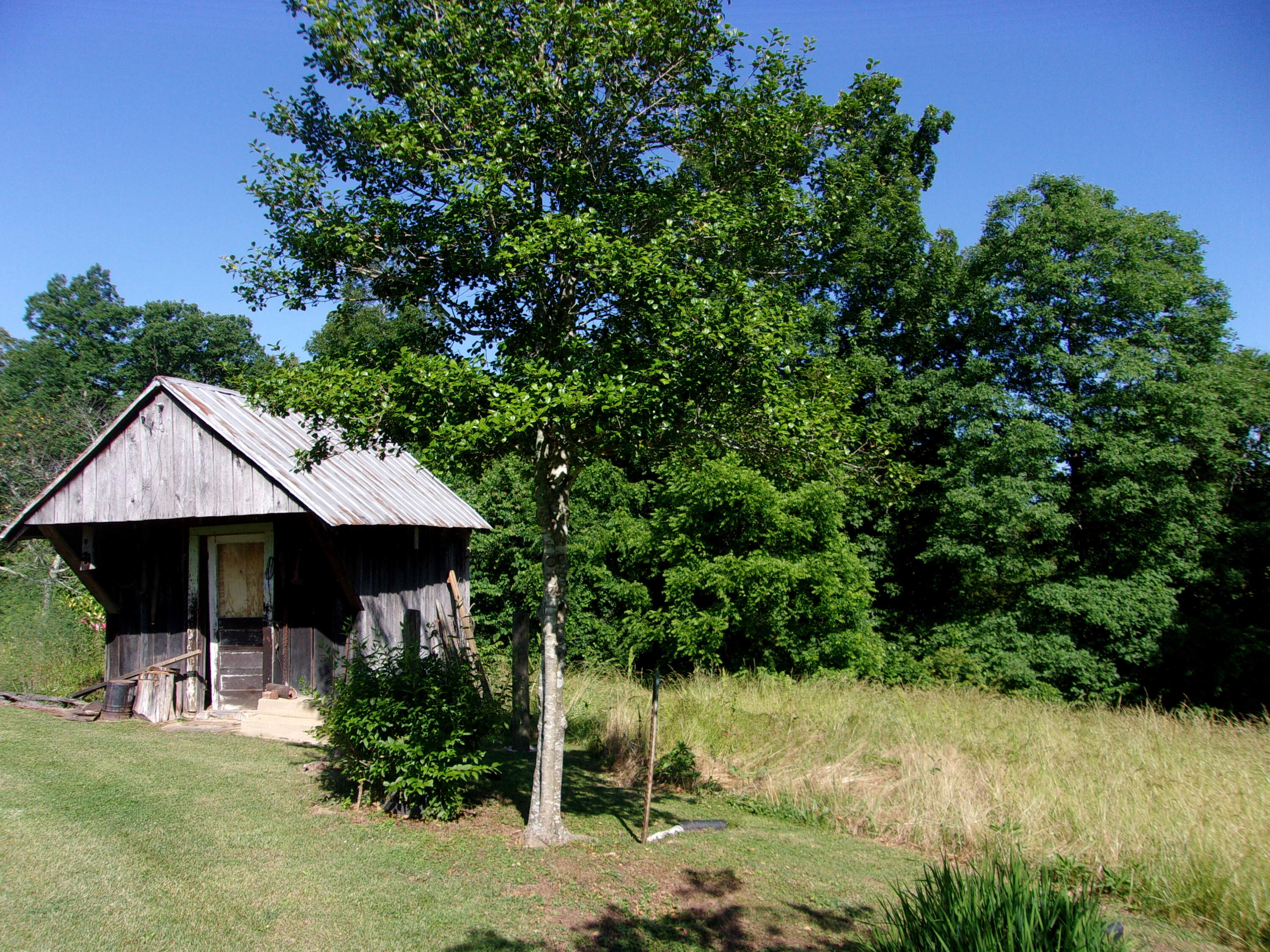 445 Urbana Road Limestone, TN 37681 - Photo 9 of 43 100_1195