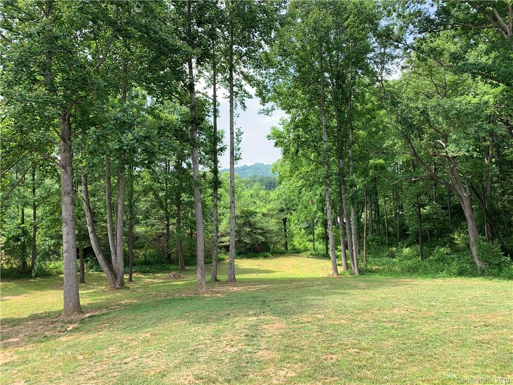 391 Osborne Road Brevard, NC 28712 - Photo 3 of 29 Gallery Image 3