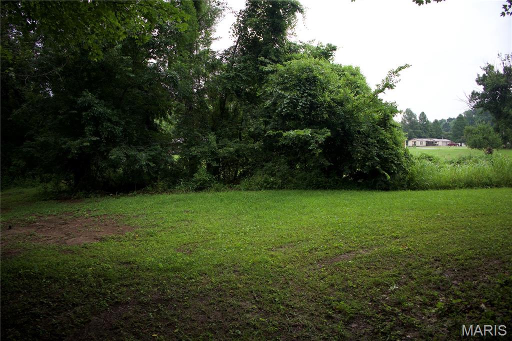 0 Ponderosa Road Chaffee, MO 63740 - Photo 4 of 8
