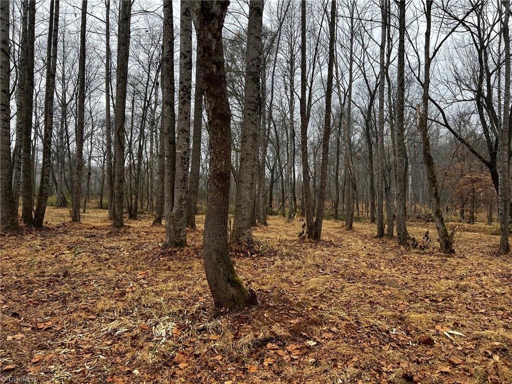 Lot 150 Lookout Dam Road Statesville, NC 28625 - Photo 11 of 12