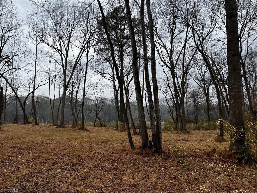 Lot 150 Lookout Dam Road Statesville, NC 28625 - Photo 6 of 12