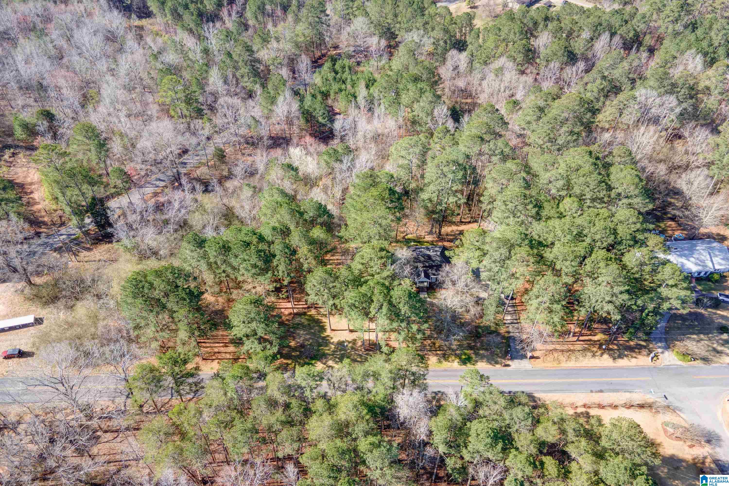 8970 Marsh Mountain Road Pinson, AL 35126 - Photo 46 of 48