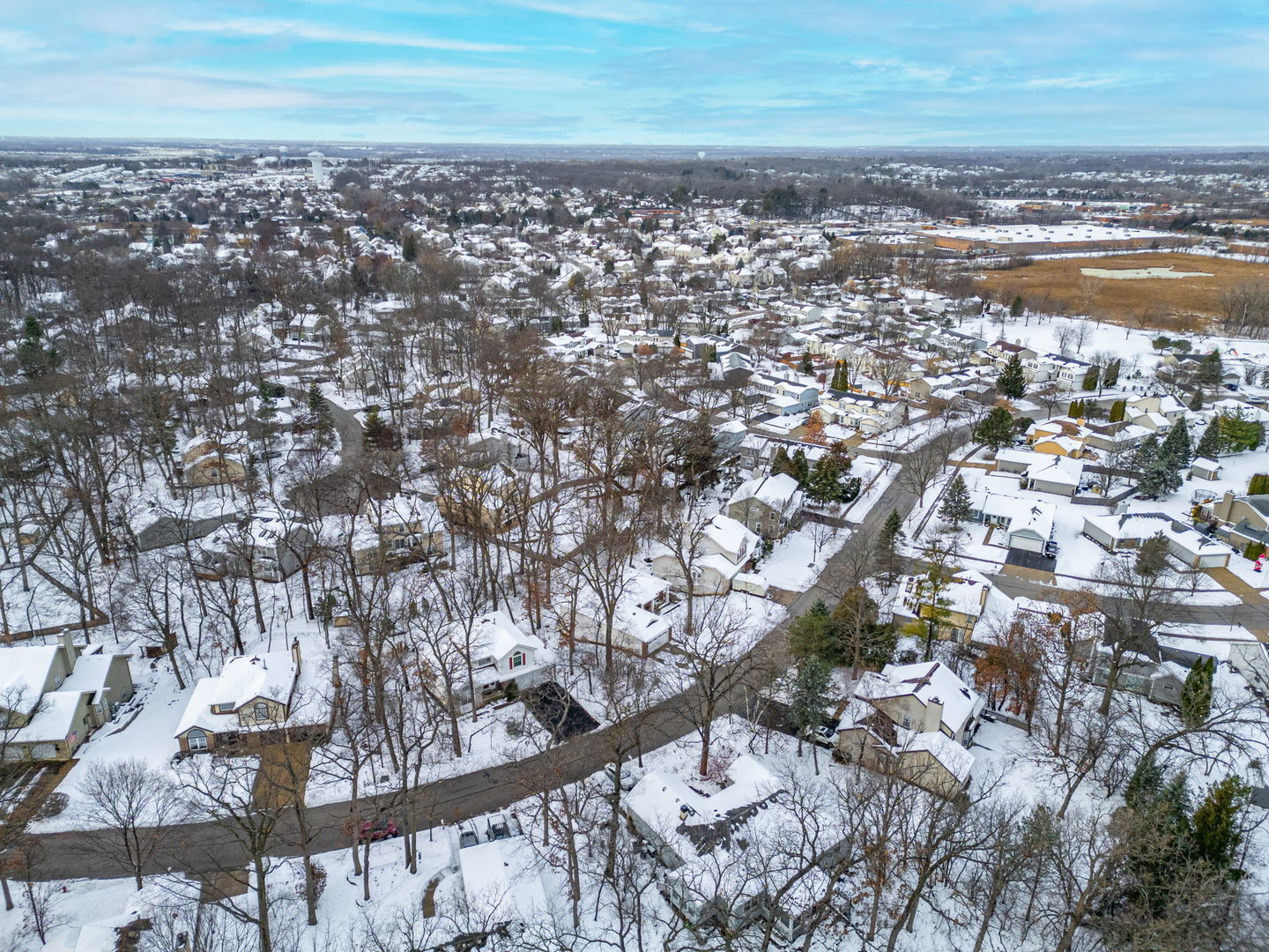 1108 Oak Ridge Drive Streamwood, IL 60107 - Photo 46 of 68