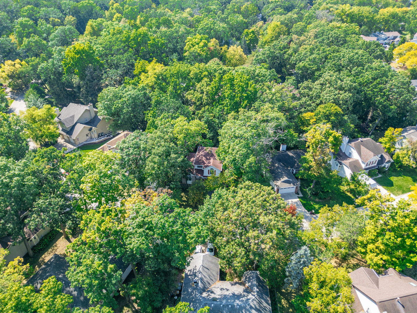1108 Oak Ridge Drive Streamwood, IL 60107 - Photo 56 of 68