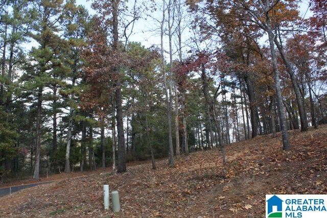 Peyton Place, Unit 3 Weaver, AL 36277 - Photo 25 of 40
