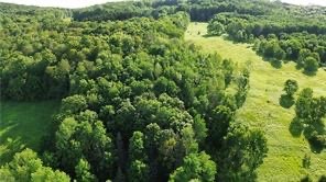 6 County Highway Otego, NY 13825 - Photo 2 of 11