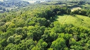 6 County Highway Otego, NY 13825 - Photo 3 of 11