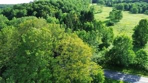 6 County Highway Otego, NY 13825 - Photo 4 of 11