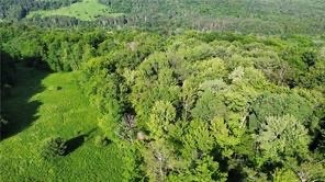 6 County Highway Otego, NY 13825 - Photo 6 of 11