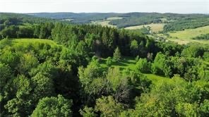 6 County Highway Otego, NY 13825 - Photo 8 of 11