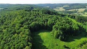 6 County Highway Otego, NY 13825 - Photo 9 of 11