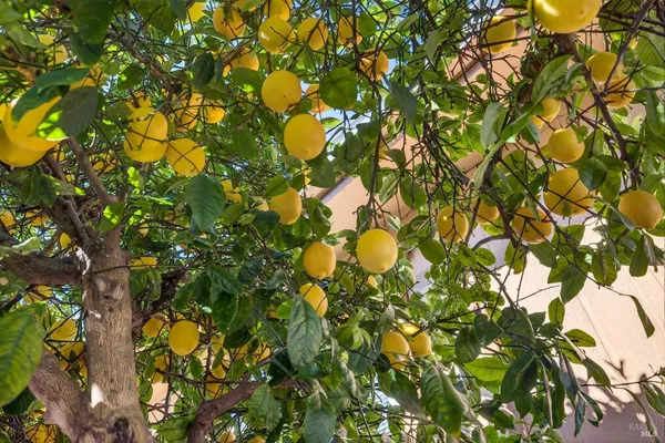 $199,000 | 145 CÃrculo Todos, Rohnert Park, CA 94928