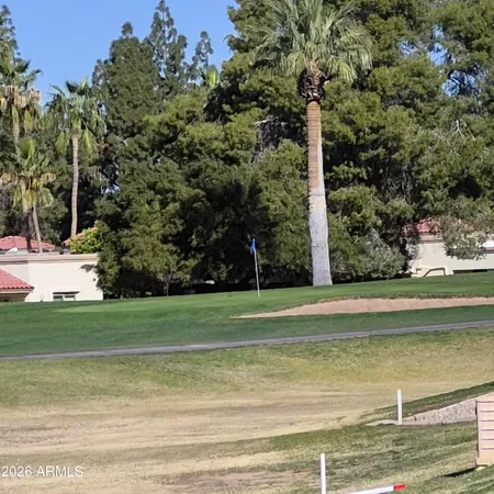 a view of a swimming pool with a yard and large trees