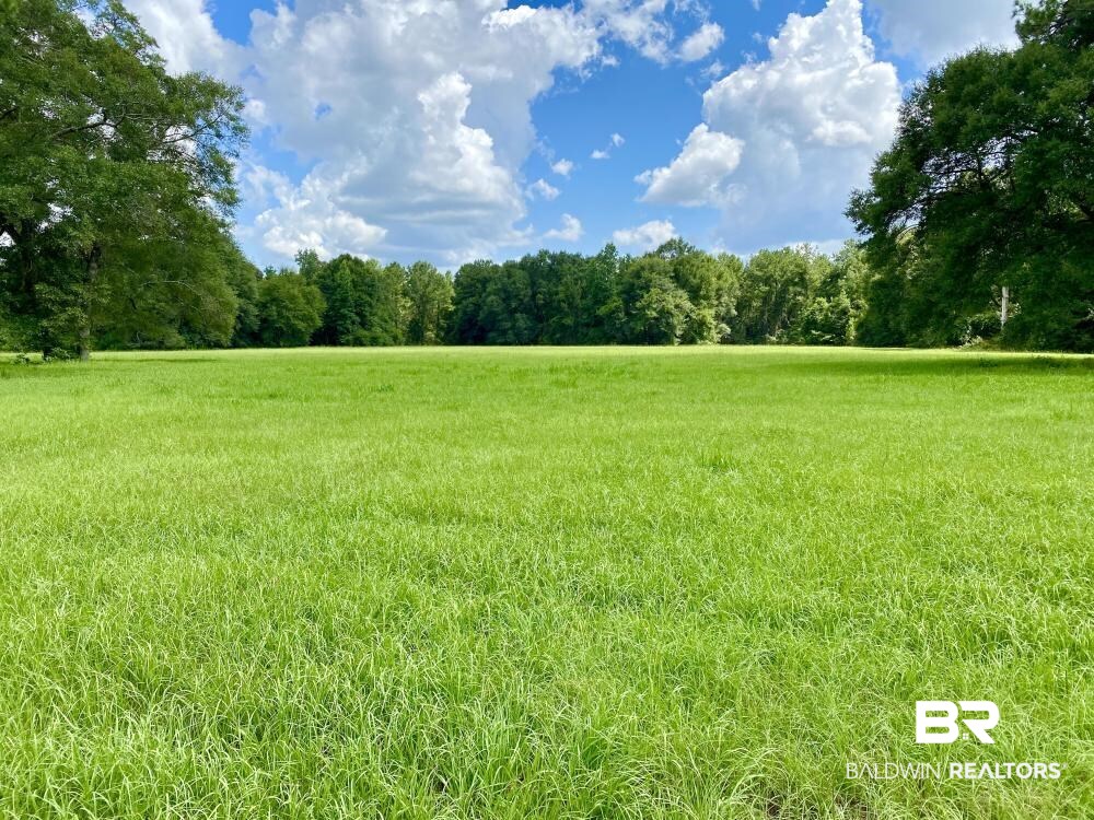0 Old Ganey Road Stockton, AL 36579 - Photo 42 of 45