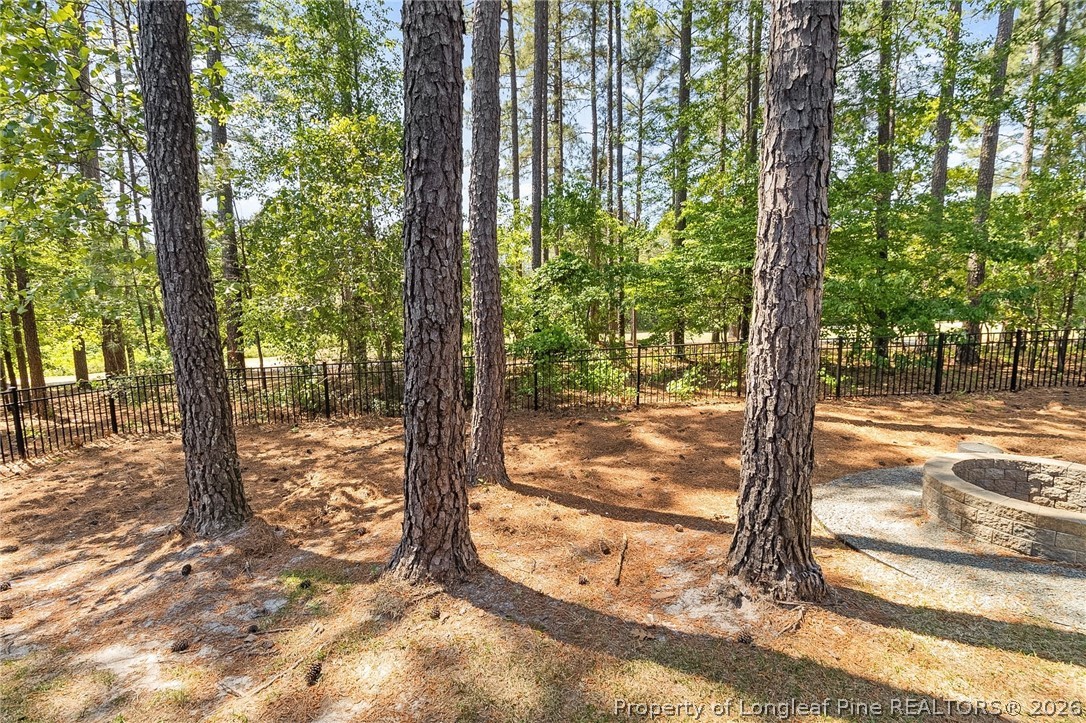 987 Micahs Way North Spring Lake, NC 28390 - Photo 48 of 49