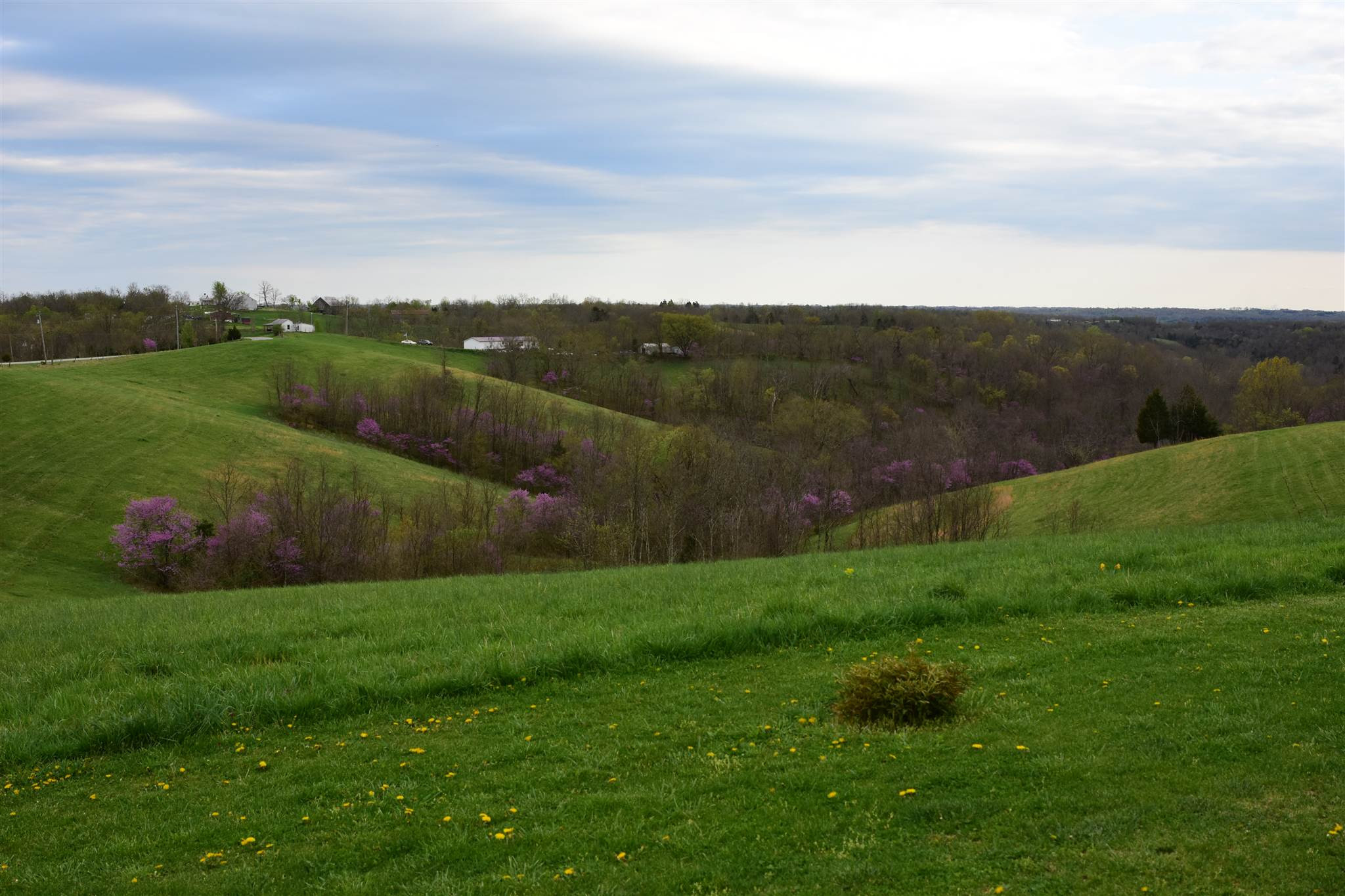 654 Belmont Road Brooksville, KY 41004 - Photo 27 of 50 Gallery Image 27
