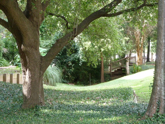 2100 Tanglewilde Street, Unit 286 Houston, TX 77063 - Photo 19 of 22 Beautiful Courtyards within the fully fenced community