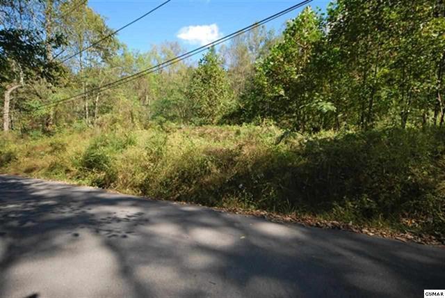 267 Loop Road Gatlinburg, TN 37738 - Photo 1 of 10 225462