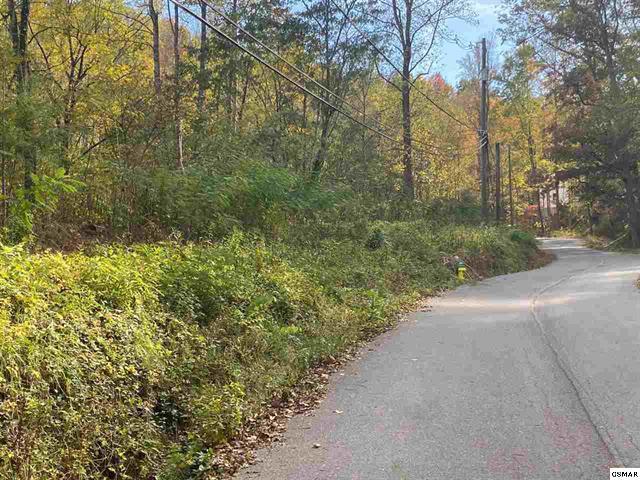 267 Loop Road Gatlinburg, TN 37738 - Photo 2 of 10 225462-1