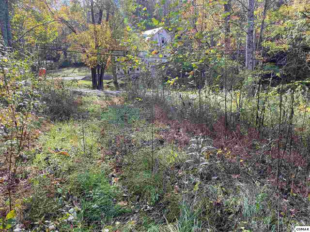 267 Loop Road Gatlinburg, TN 37738 - Photo 3 of 10 225462-2