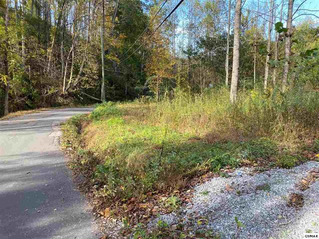 267 Loop Road Gatlinburg, TN 37738 - Photo 4 of 10 225462-3