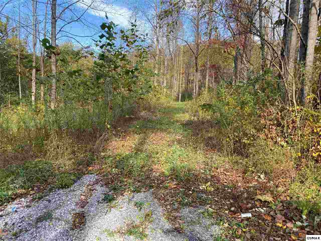 267 Loop Road Gatlinburg, TN 37738 - Photo 5 of 10 225462-4