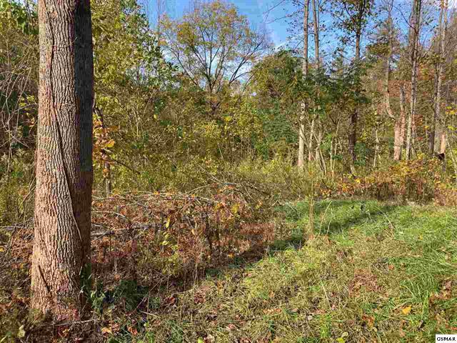 267 Loop Road Gatlinburg, TN 37738 - Photo 6 of 10 225462-5