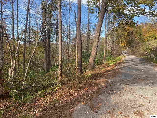 267 Loop Road Gatlinburg, TN 37738 - Photo 7 of 10 225462-6