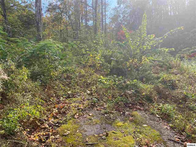 267 Loop Road Gatlinburg, TN 37738 - Photo 9 of 10 225462-8