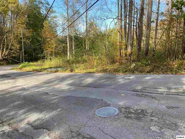 267 Loop Road Gatlinburg, TN 37738 - Photo 10 of 10 225462-9