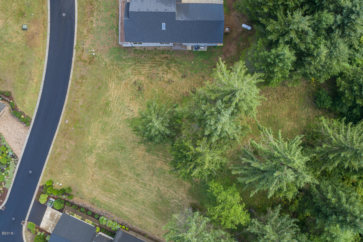Lot 3 Brooten Mountain Road Pacific City, OR 97135 - Photo 5 of 14 Lot 3