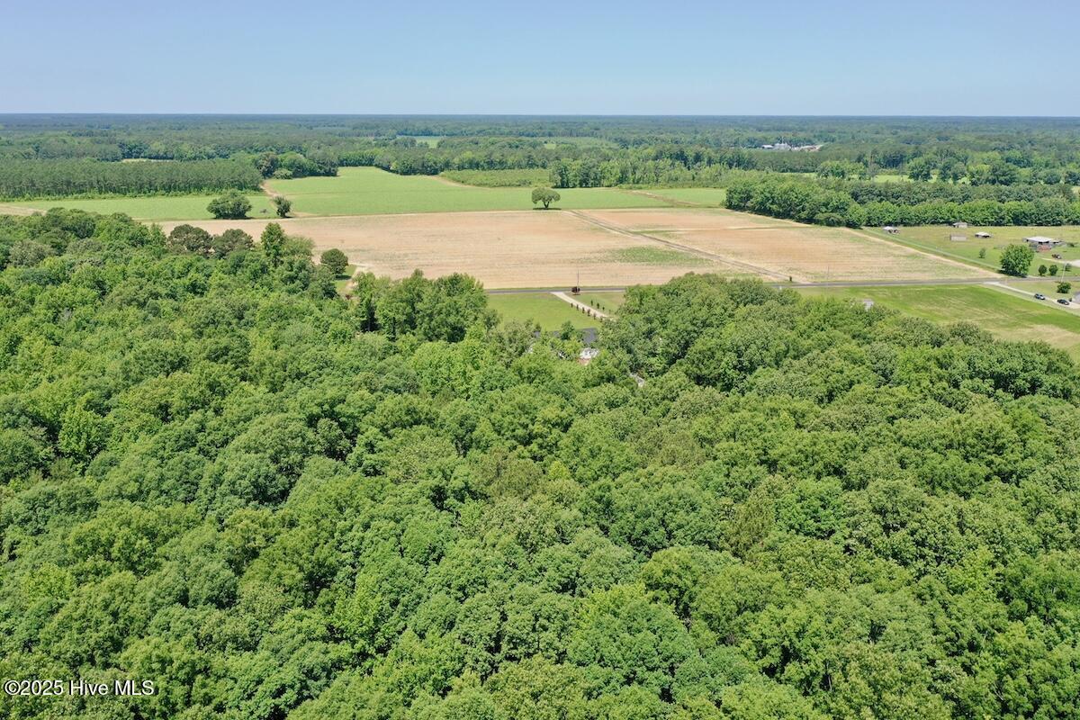 141 Arthur Majette Road Aulander, NC 27805 - Photo 55 of 115 7
