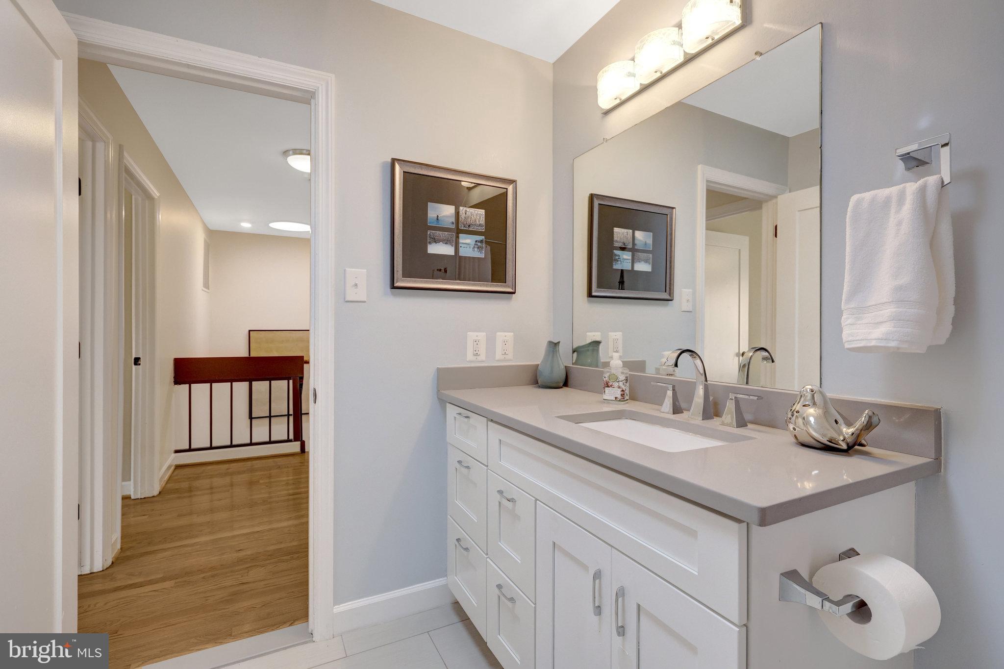 11712 Indian Ridge Road Reston, VA 20191 - Photo 72 of 77 a bathroom with a sink and a mirror
