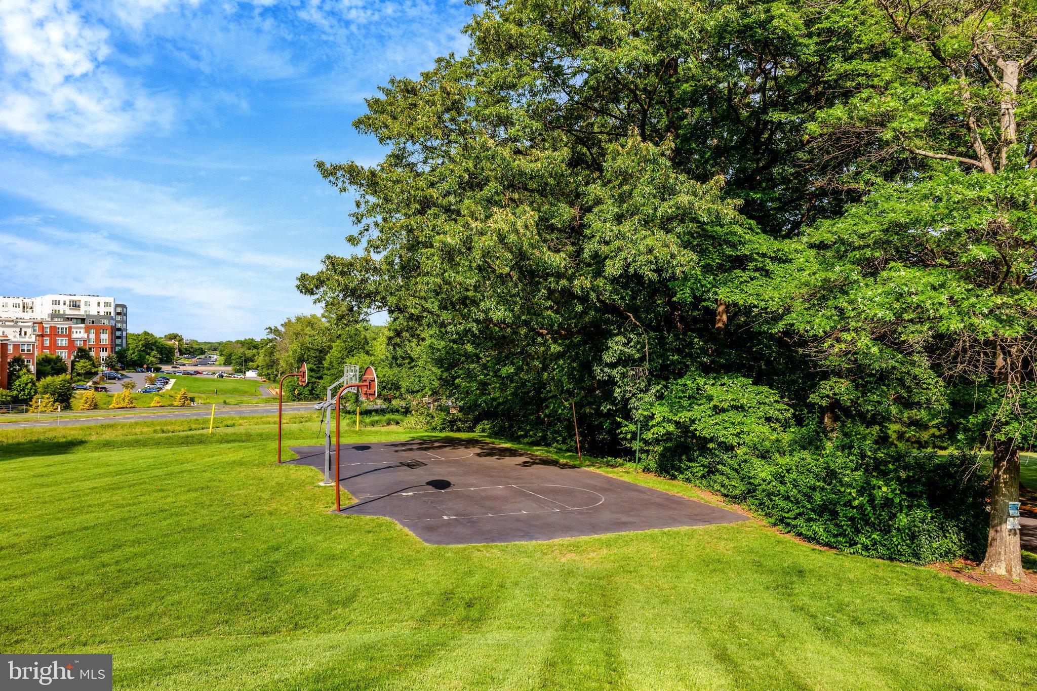 11712 Indian Ridge Road Reston, VA 20191 - Photo 74 of 77