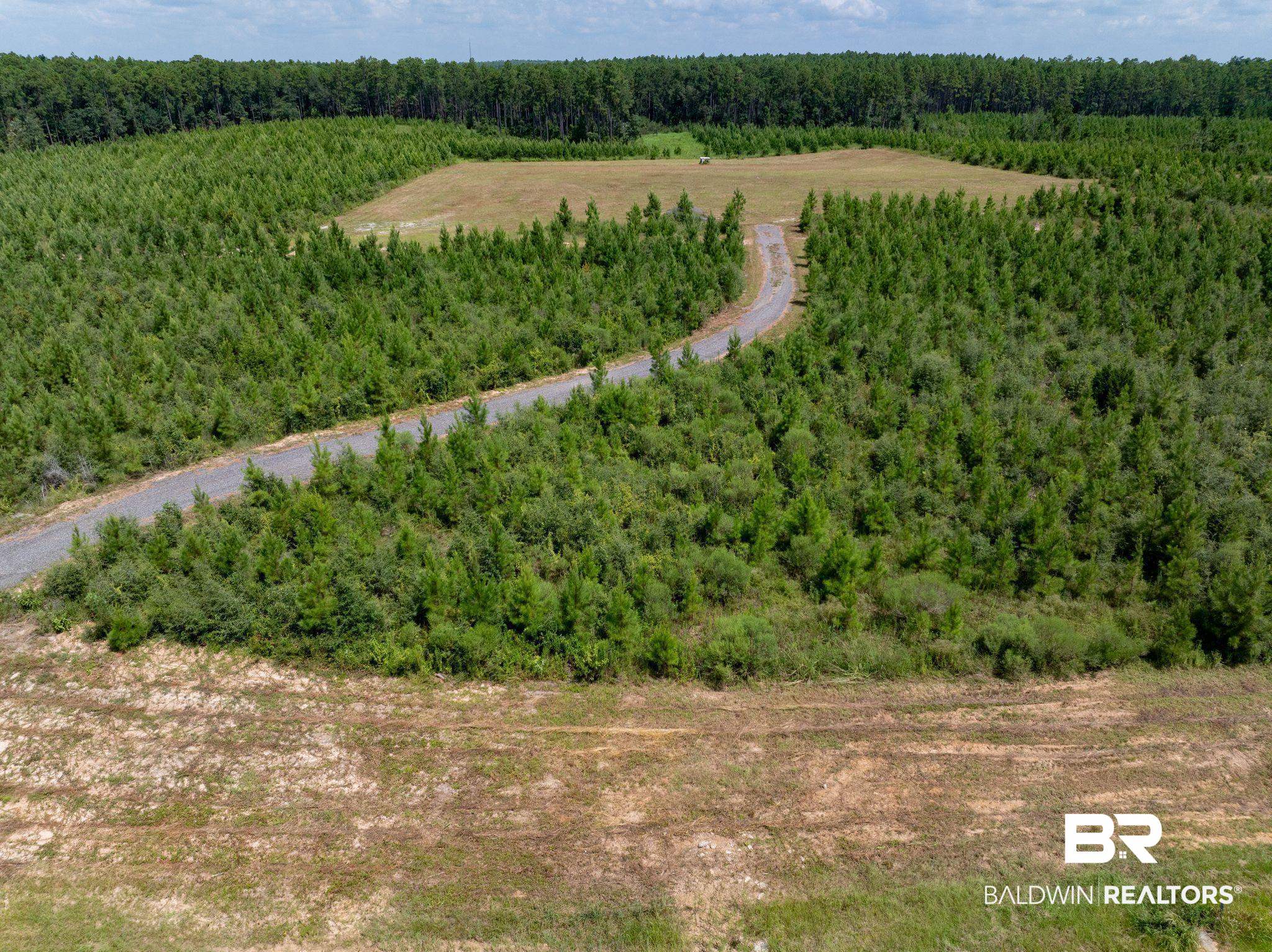 18813 Horseneck Road Bay Minette, AL 36507 - Photo 8 of 16 Drone / aerial view