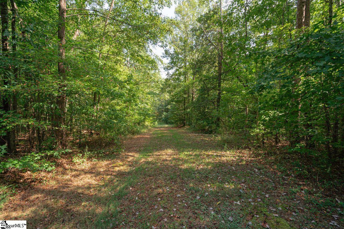 540 McKittrick Bridge Road Fountain Inn, SC 29644 - Photo 25 of 36
