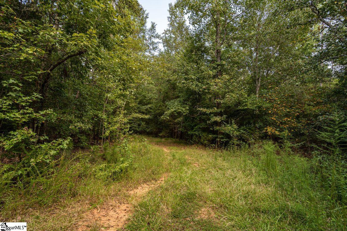 540 McKittrick Bridge Road Fountain Inn, SC 29644 - Photo 26 of 36